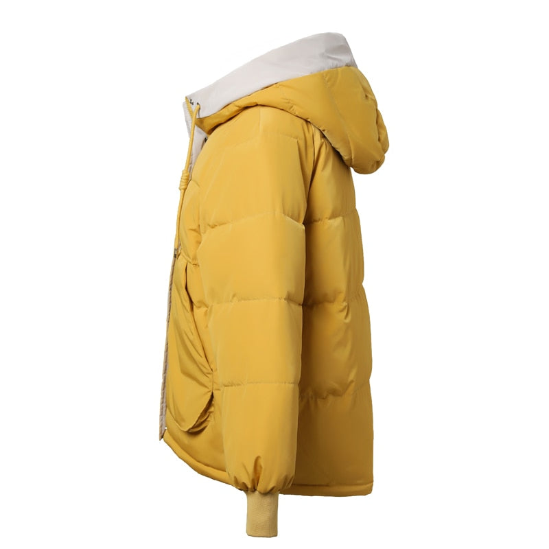 Cotton padded Outwear Jacket Hoodie 7 Colors